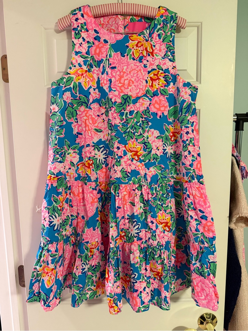 Bright Floral Sleeveless Sundress in Blue and Pink Trina Rose to the occasion